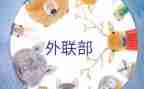 对外联工作总结最新5篇