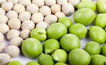 一年级小豌豆读后感8篇