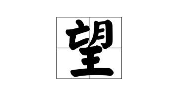 写我的愿望作文300字5篇