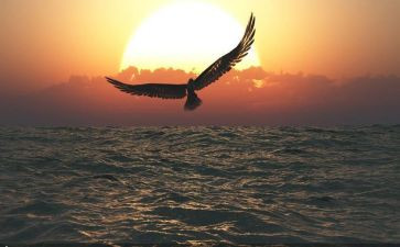 伟大母亲作文600字6篇