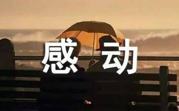 与感动的素材作文8篇