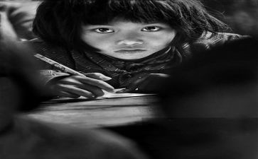 感动类作文800字8篇