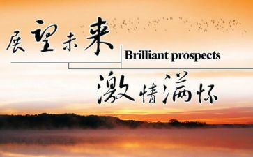 个人工作总结未来展望6篇