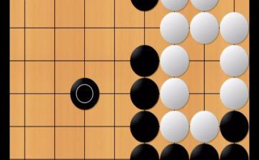 围棋教学总结5篇