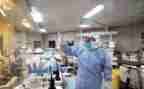 卫生组的述职报告参考5篇