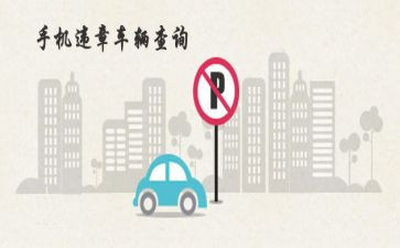 A类违章心得体会5篇