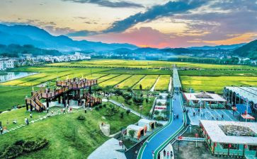 文旅调研报告参考5篇