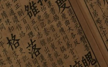 小学语文学生心得体会5篇