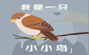 我想象的小鸟作文最新6篇