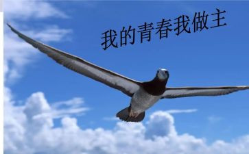 青春我做主的作文8篇