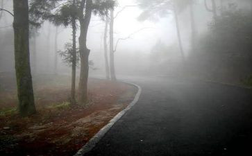 雾霾作文参考8篇