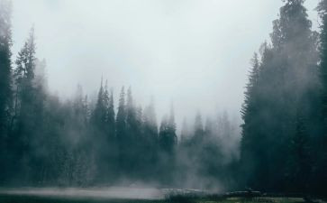 雾都的孤儿读后感8篇