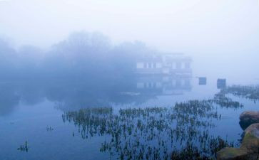 雾霾的作文800字7篇