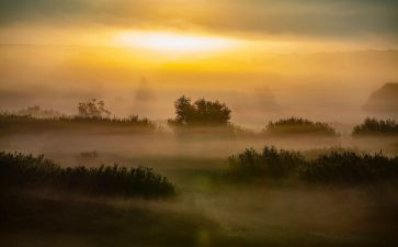 雾霾有关的作文8篇