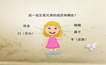 五官优秀作文5篇