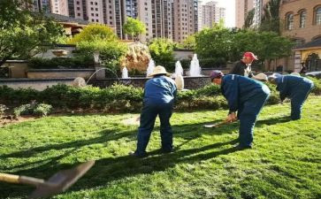 物业小区2024年工作总结和2024年工作计划5篇