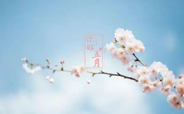 五月幼儿工作总结8篇