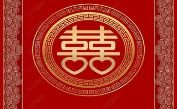 我最喜欢小猫的作文8篇