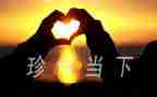 珍惜当下演讲稿7篇