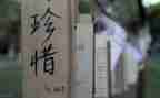 要珍惜友谊演讲稿7篇