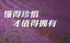 珍惜友谊250演讲稿优秀5篇
