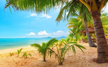 夏洛的网夏洛的读后感最新5篇
