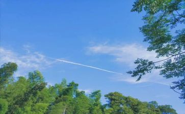 散文《夏》读后感优秀5篇