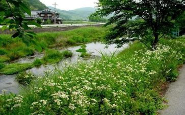 有关夏天的作文模板8篇