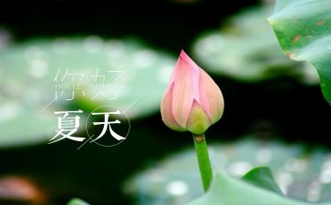 幼儿园语言《夏》教案模板7篇