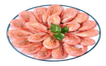 钓龙虾作文参考7篇