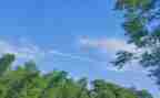 中班《夏天》教案通用8篇