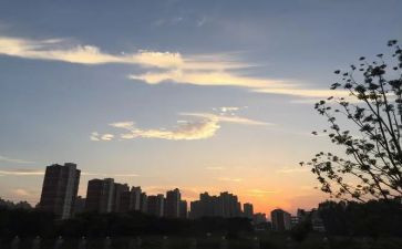 小班下班主任工作总结优质8篇