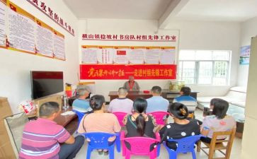 党员先锋户活动方案8篇