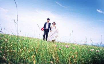 相伴的作文800字优质5篇