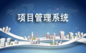 大项目工作总结通用7篇