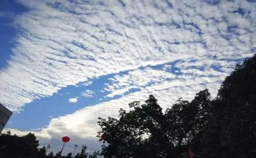 想念爷爷作文7篇