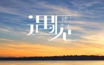 与书相遇作文6篇