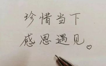 与书相遇作文模板6篇