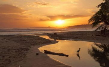 骆驼的祥子读后感100字6篇