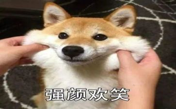 我真想笑作文精选5篇