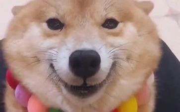 以笑为题的作文600字优秀6篇