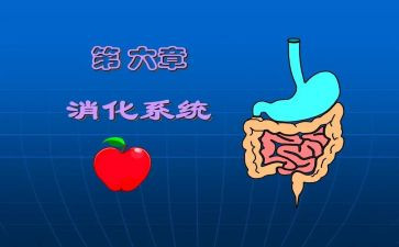 消化科的实习心得5篇