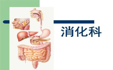 消化内科个人总结8篇