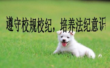学校纪律讲话稿5篇