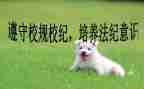 学校纪律讲话稿5篇