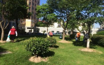 小区物业2024年工作总结8篇