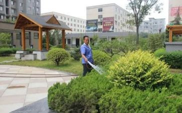 小区物业2024年工作总结精选6篇