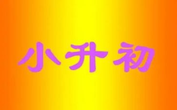 小升初作文300字5篇