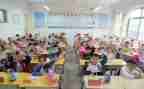 小学生代表发言演讲稿8篇