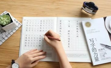 微写作调查报告6篇